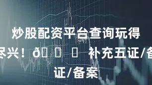 炒股配资平台查询玩得更尽兴！🛠️ 补充五证/备案