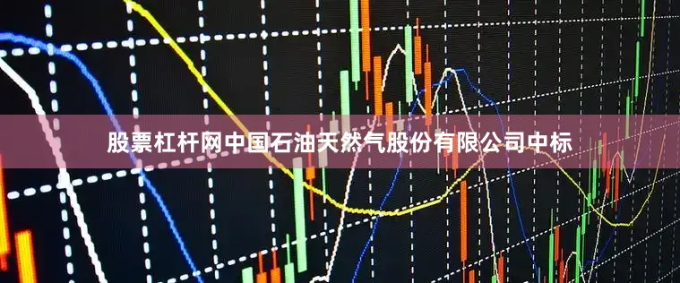 股票杠杆网中国石油天然气股份有限公司中标